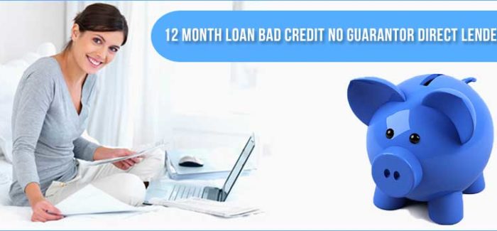 12 month loan bad credit no guarantor